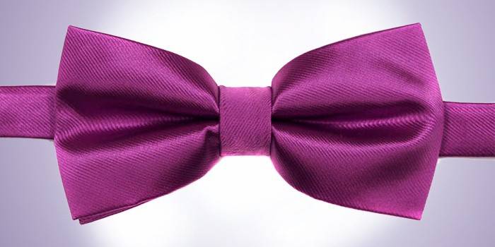 Polyester 022.0.2-812148 numaralı papyon