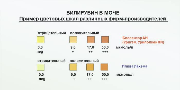 Bilirubin mutatók