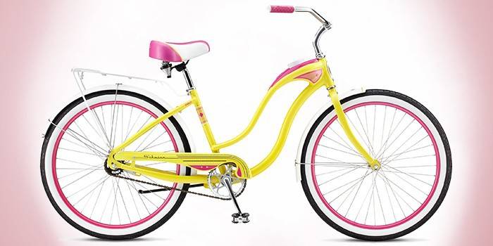 Model Schwinn