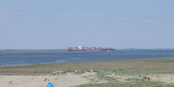Nave da carico secco nella Schelda occidentale