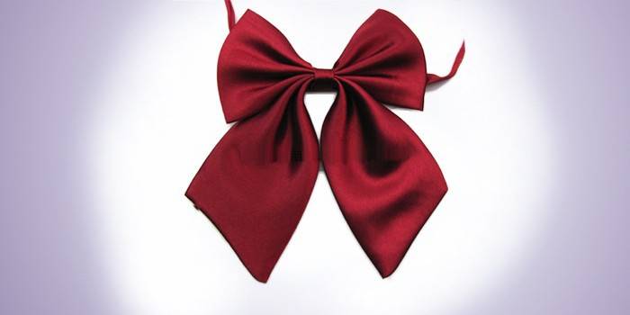 Bordo Kadınlar Fiyonklu 495-100