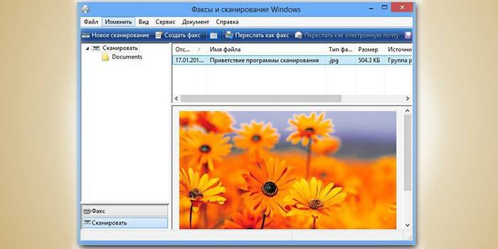 Programa para digitalização no Windows