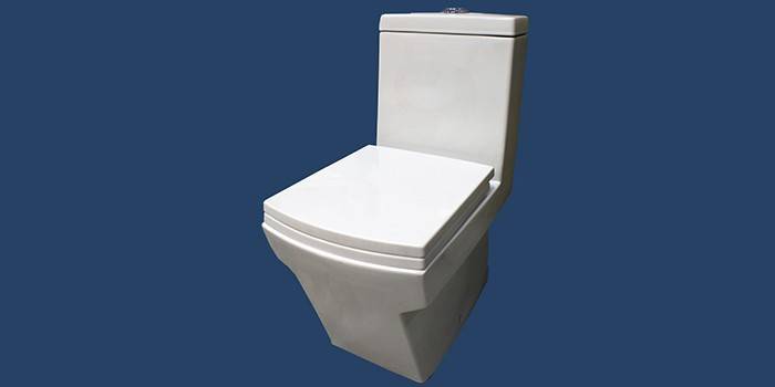 Monoblokk WC-tál bidé funkcióval Laguraty 2192A