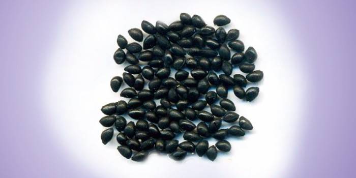 بذرة