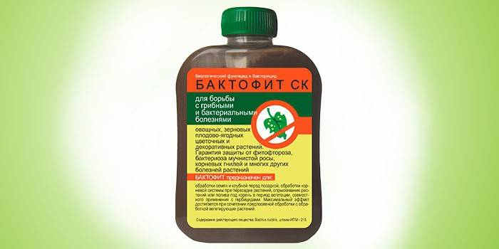 Bactofit-Fungizid