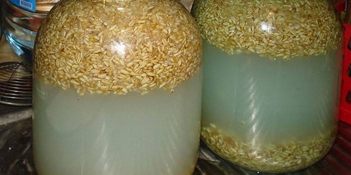 Oats kvass