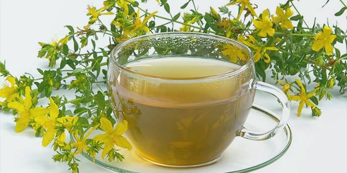 Hypericum húsleves egy csészében