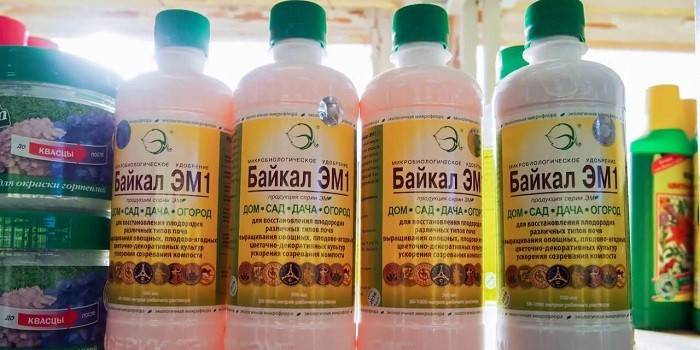 Phân bón sinh học Baikal EM-1 trong chai