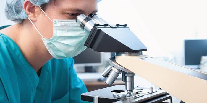 Le médecin du laboratoire effectue un coprogramme