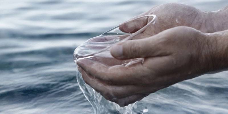 Water in the palms