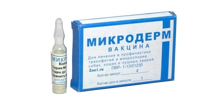 Microderm