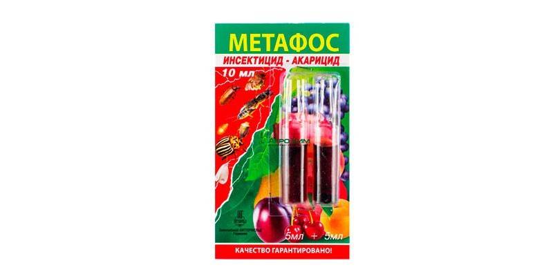 Значи Метапхос