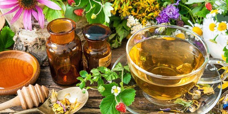 Ervas medicinais, infusões e decocções
