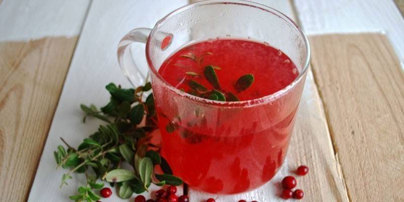 Lingonberry bladavkok