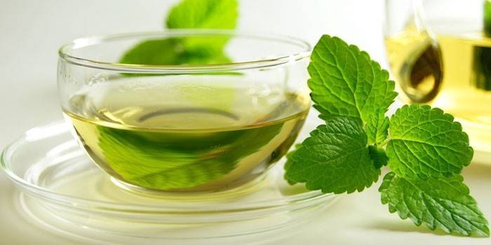 Teinture menthe poivrée