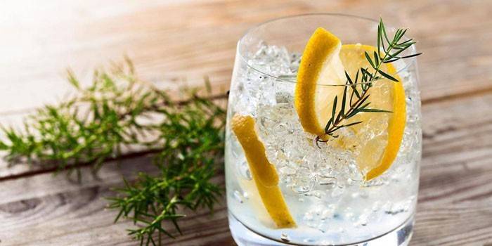 Coquetel Gin e Tônico