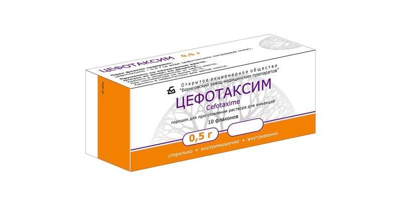 Cefotaxime