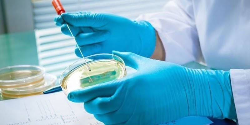 Medico con una tazza di capsule di Petri