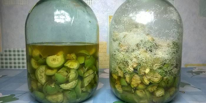 Tintura di noci con zucchero