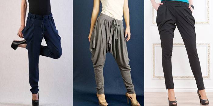 Jodhpurs