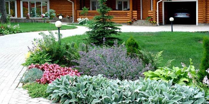Mixborder nella progettazione del paesaggio