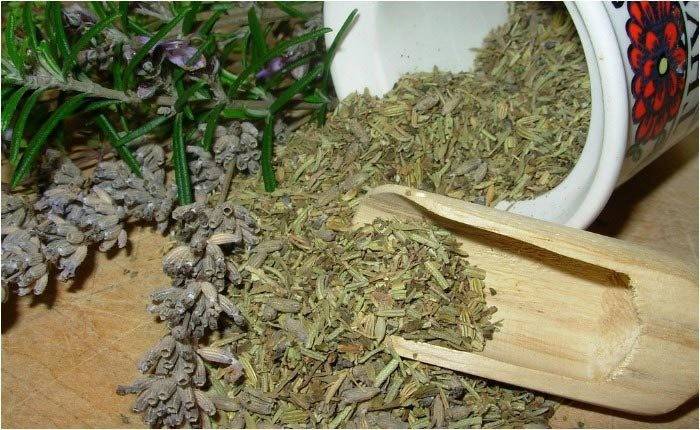 Folkemedicin mod mastopati