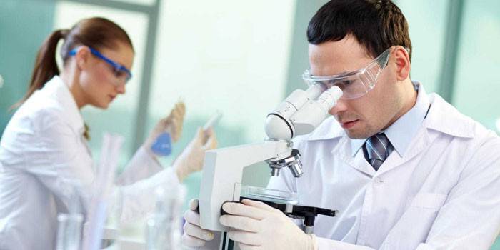 Assistenti di laboratorio al lavoro