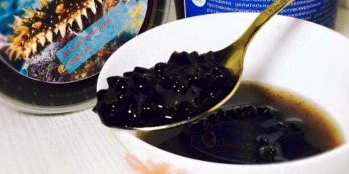 Tintura Trepang em mel