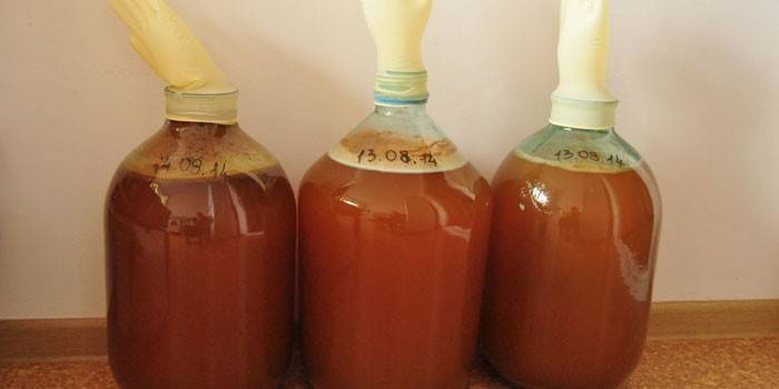Fermentacijos procesas