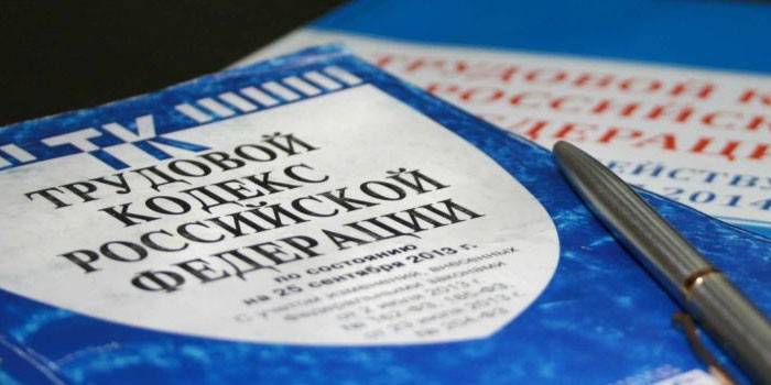 Rusya Federasyonu Çalışma Kanunu