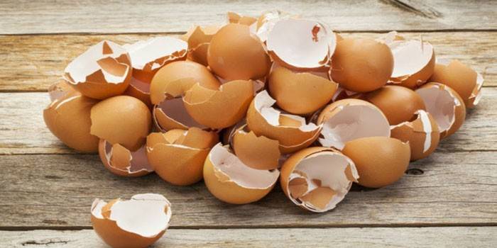 Eierschale