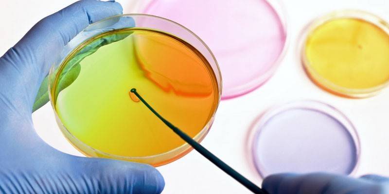Plat Petri a les mans d’un assistent de laboratori