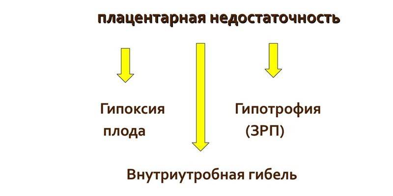รกไม่เพียงพอ
