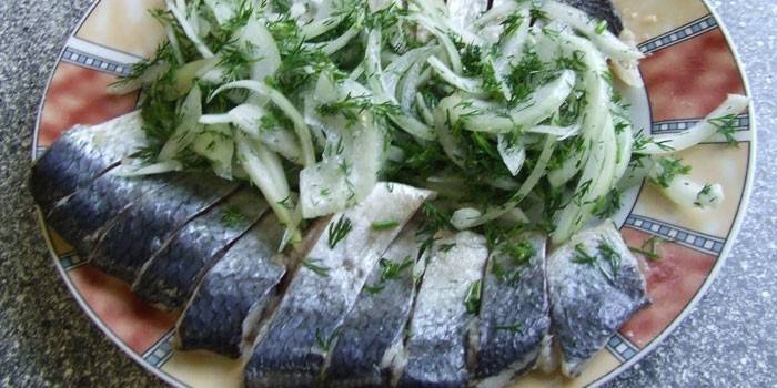 Iwashi com cebolas em conserva