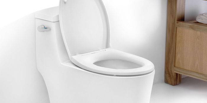 Toilette nella toilette
