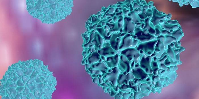 Virus della polio