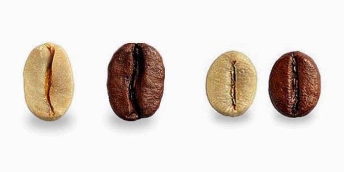 Arabica e Robusta prima e dopo la frittura