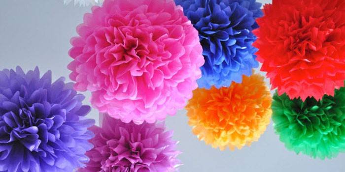pompon