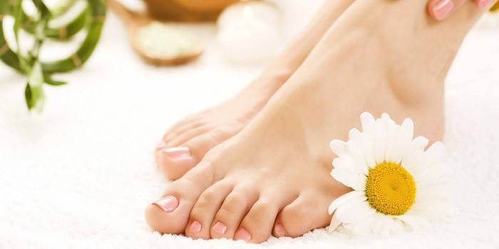 Đôi chân được chăm sóc chu đáo của một cô gái và một bông hoa cúc