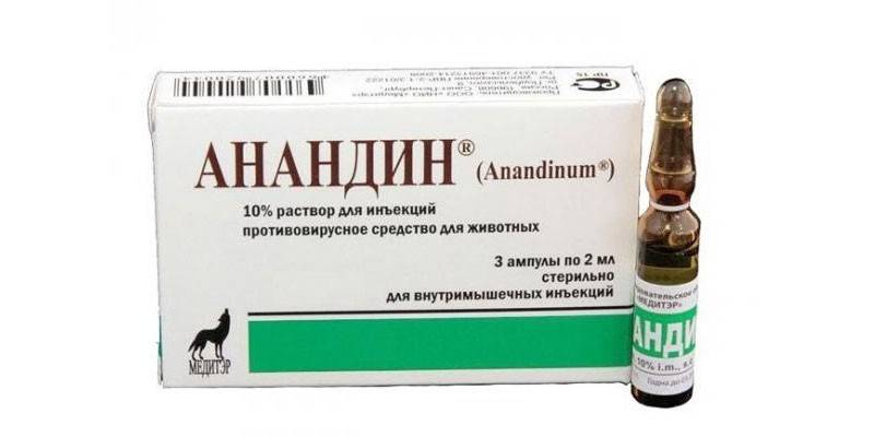Η λύση Anandin