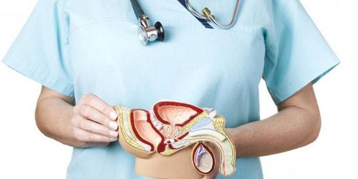 Masaj prostatic