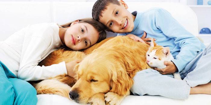Animaux et développement de bébé