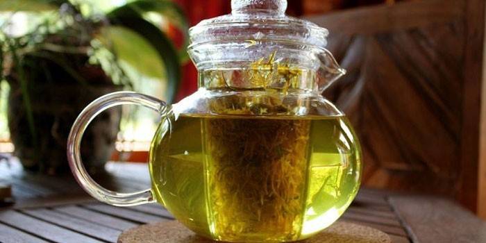 ديكوتيون من tansy و الشيح من البراغيث