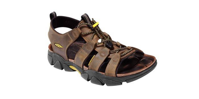 Σανδάλια KEEN Daytona K1003030-8