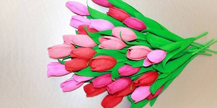 Pašdarinātas tulpes