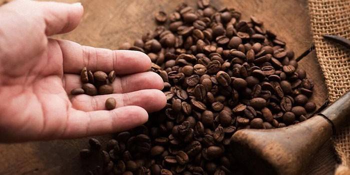 Chicchi di caffè Robusta