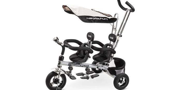 Model Small Rider Platinum ALT