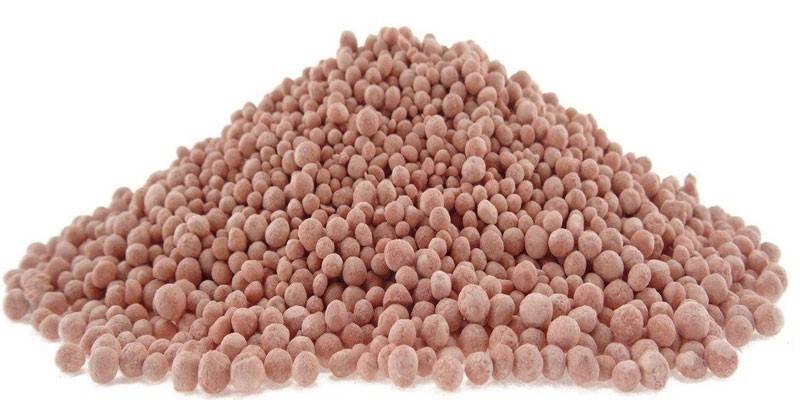 Kalimagnesia في الحبيبات