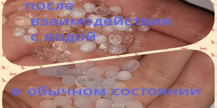 Loại chất độn trước và sau khi tương tác với chất lỏng