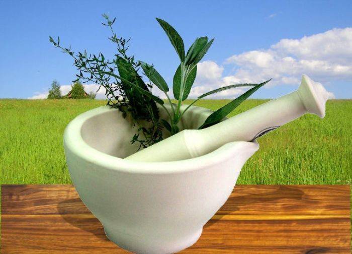 Traitement à base de plantes de hernie discale